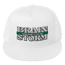 Load image into Gallery viewer, Brainstorm Genetics Trucker Cap (Color options available)
