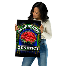 Load image into Gallery viewer, Brainstorm, epistasis, genetics, chromosome, Brainstorm Genetics Poster, genetics posters, genetics poster project, genes poster, geneti, Brainstorm Genetics Poster
