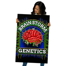 Load image into Gallery viewer, Brainstorm, epistasis, genetics, chromosome, Brainstorm Genetics Poster, genetics posters, genetics poster project, genes poster, geneti, Brainstorm Genetics Poster
