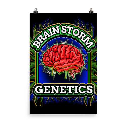 Brainstorm, epistasis, genetics, chromosome, Brainstorm Genetics Poster, genetics posters, genetics poster project, genes poster, geneti, Brainstorm Genetics Poster