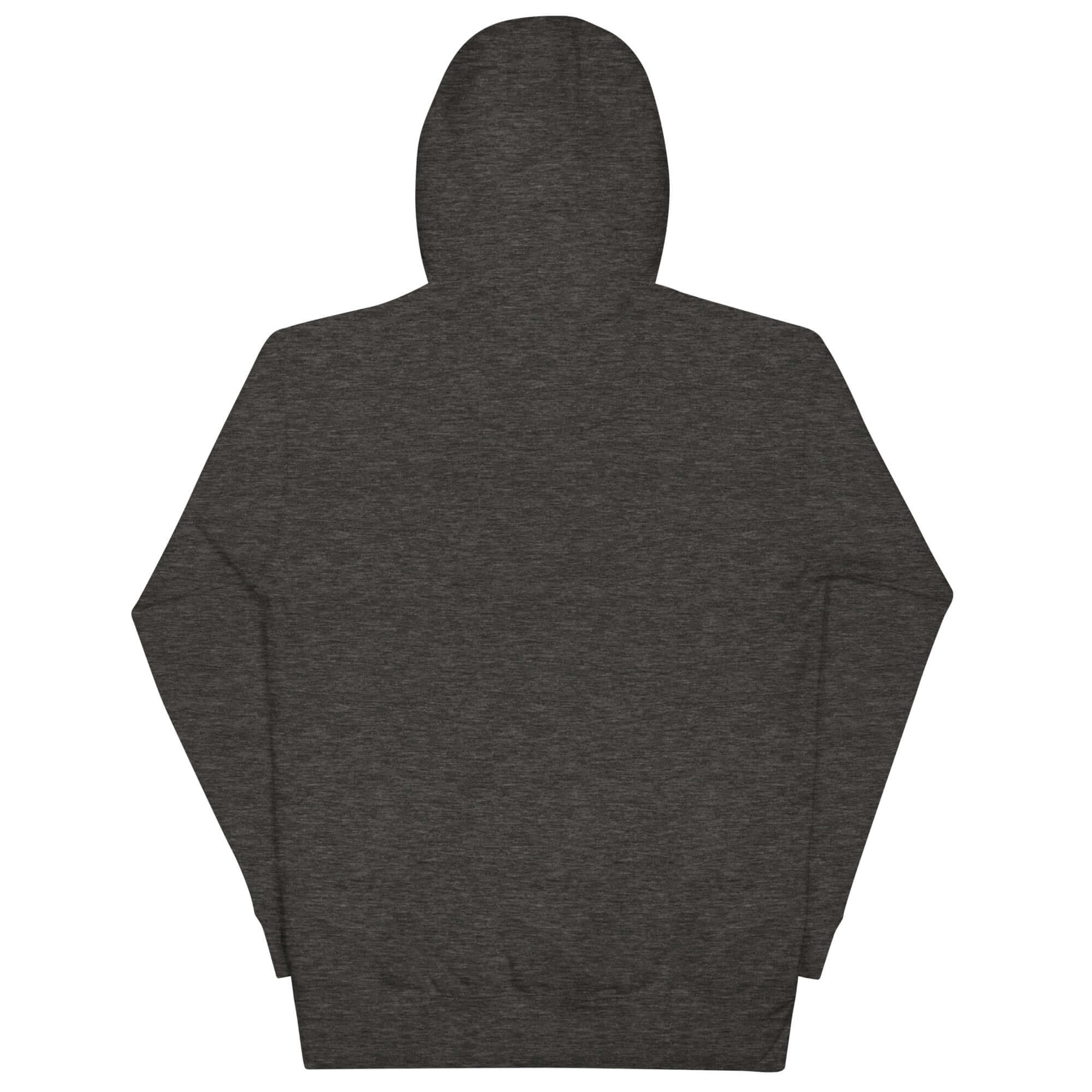 Back view of the Manifest Success unisex hoodie in dark gray, featuring a hood and spacious cut for comfort.