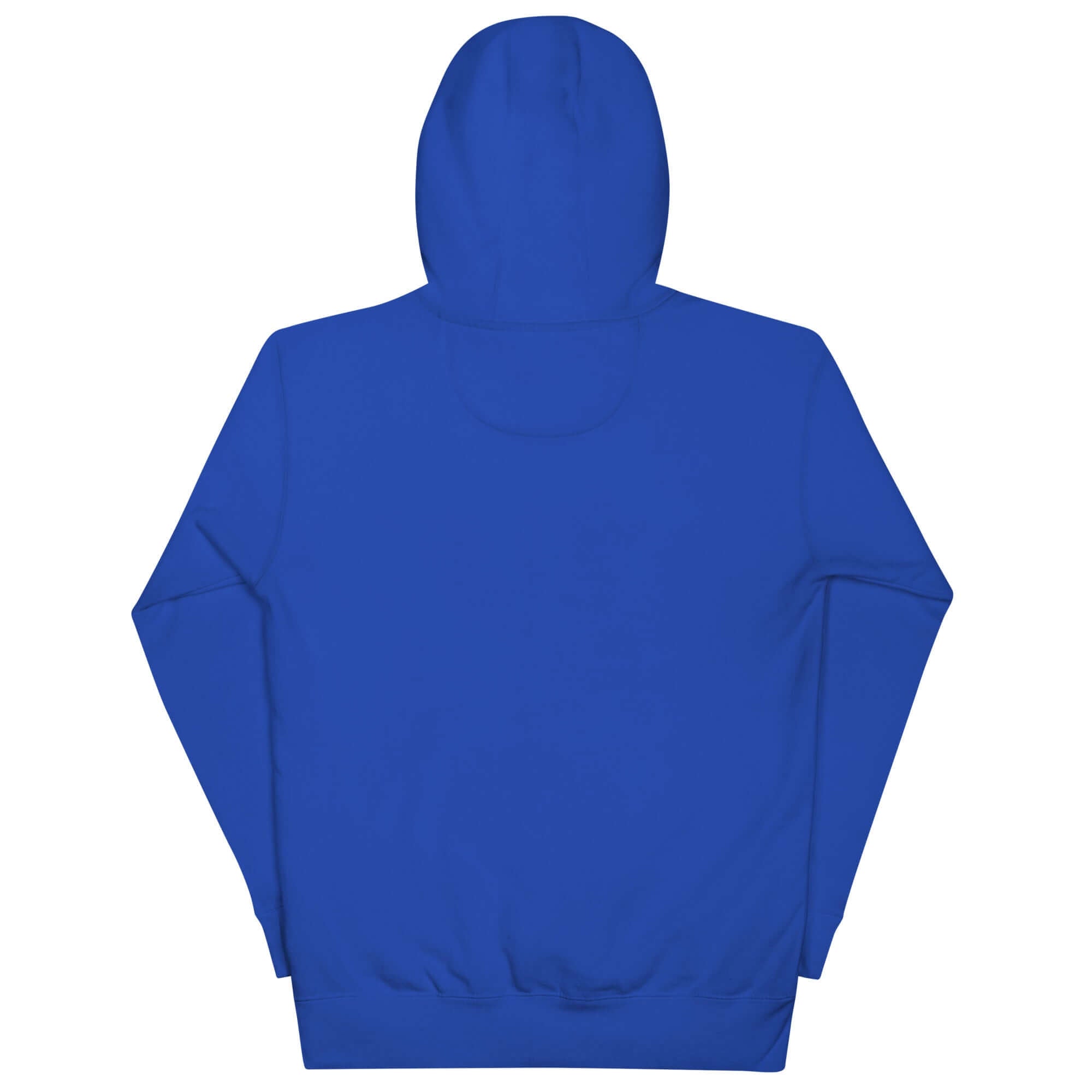 Back view of the blue Manifest Success unisex pullover hoodie with a clean, modern design and comfortable fit.